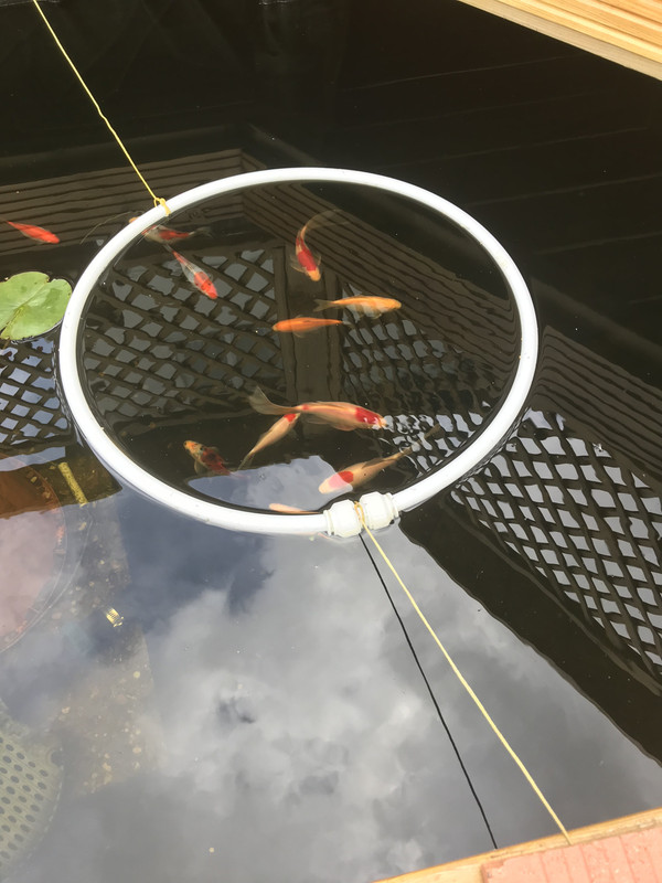 1AAB9155-6DE6-4E5C-9638-D954462F7C43