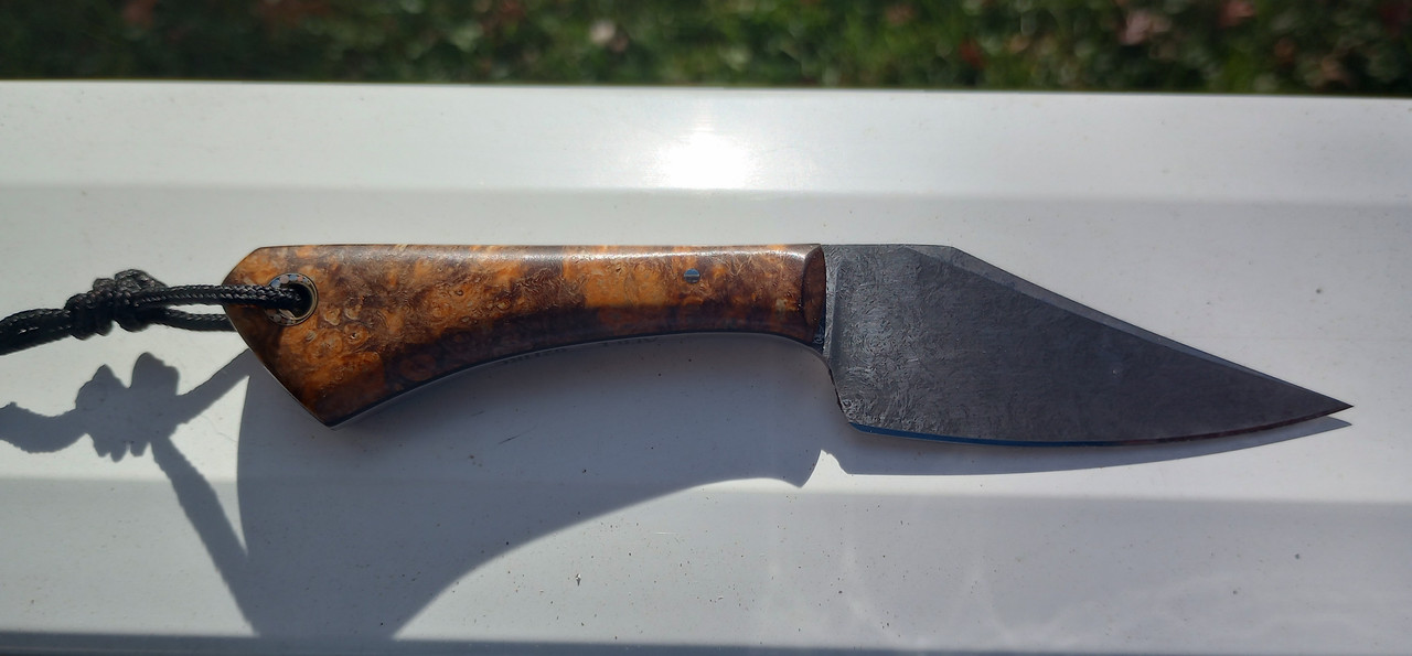 IMG_20231120_122731849_HDR_1