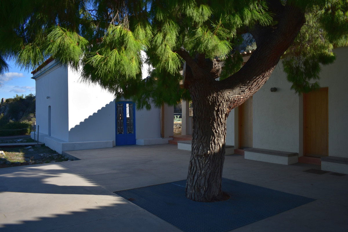 Αρχαία Ασίνη (14)