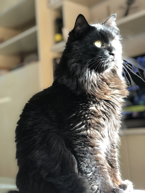 AC213FAD-DD90-4FD6-BA15-68F1D14D16A1