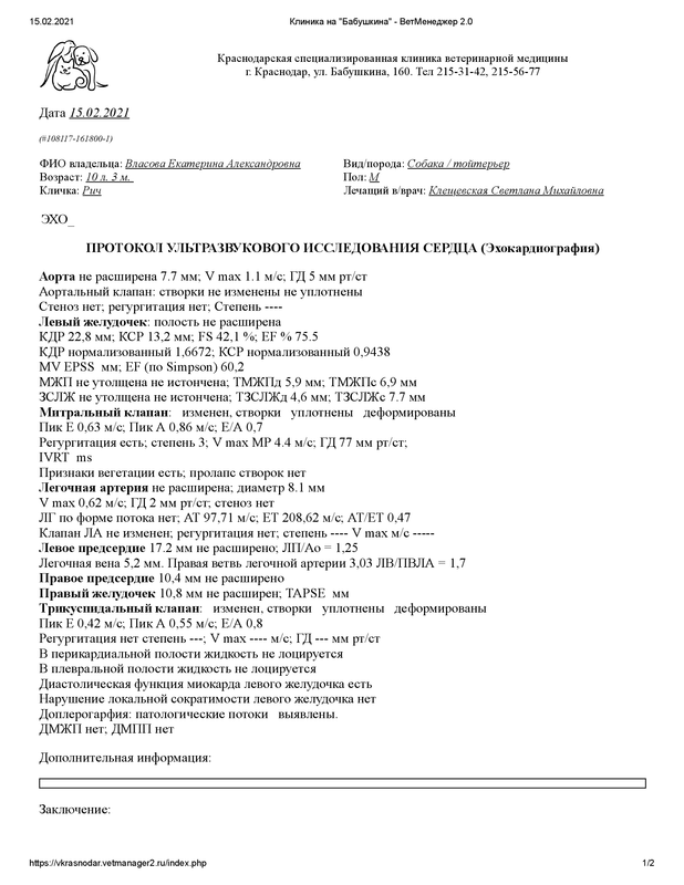 Рич узи сердце заключение дек 2020