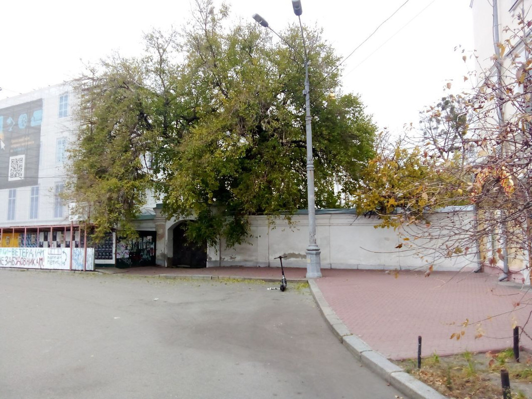 photo_2024-11-12 5.01.10 пп