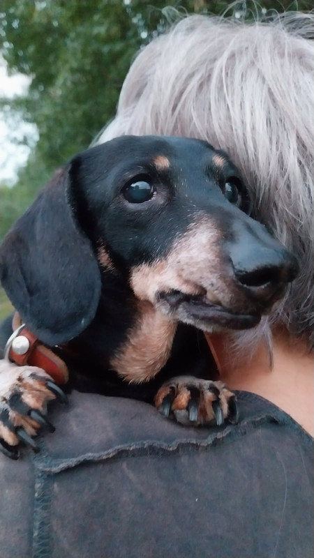 [Image: IMG-20250913-114631.jpg]