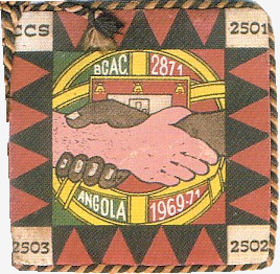BCac2871