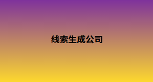 线索生成公司