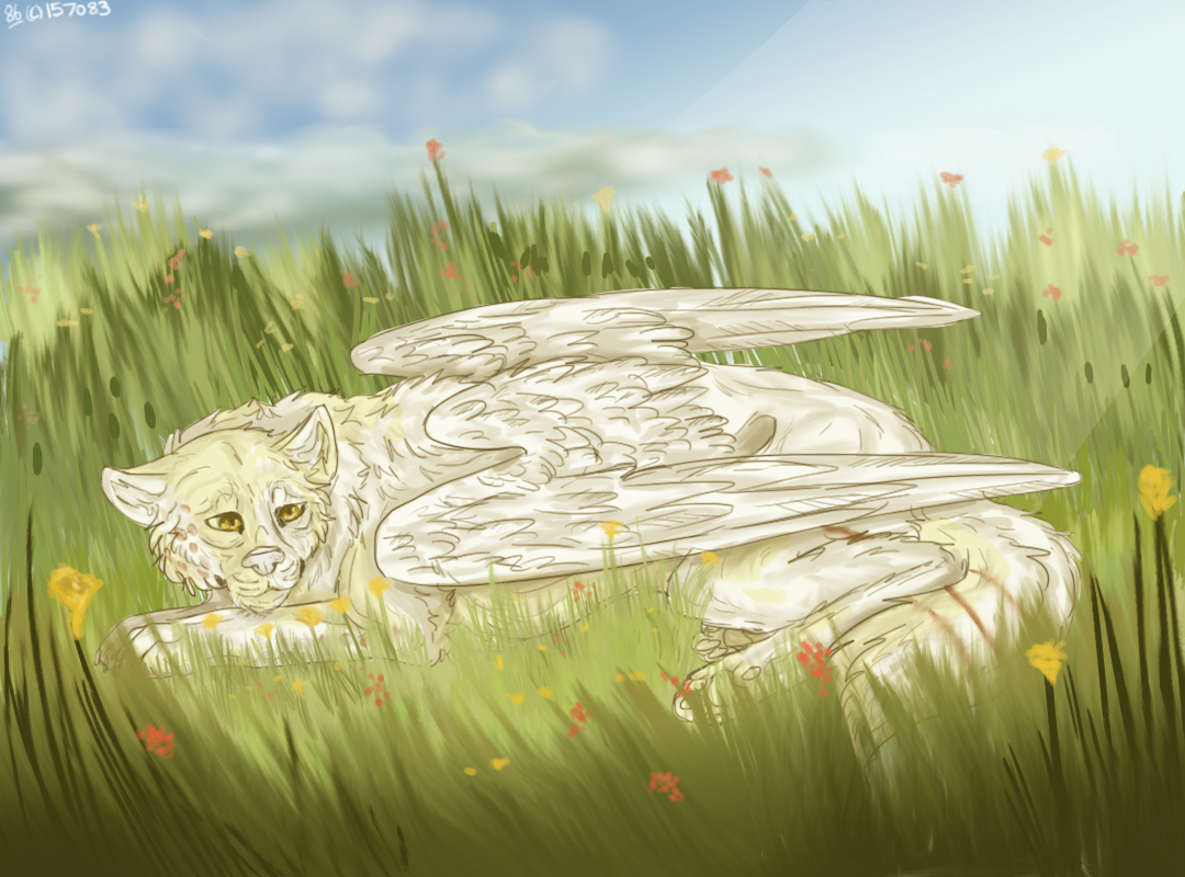 For-Aku-flower-fields.png