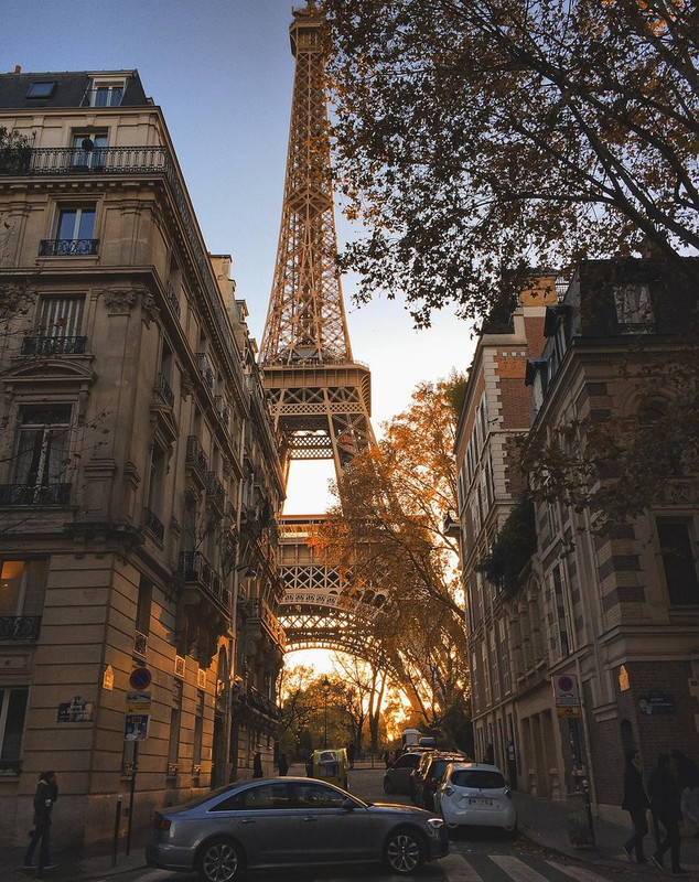 brown-eiffel-tower2.jpg
