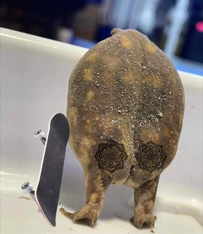 06606568-E283-4EE4-89CE-CEA5D2322B6C