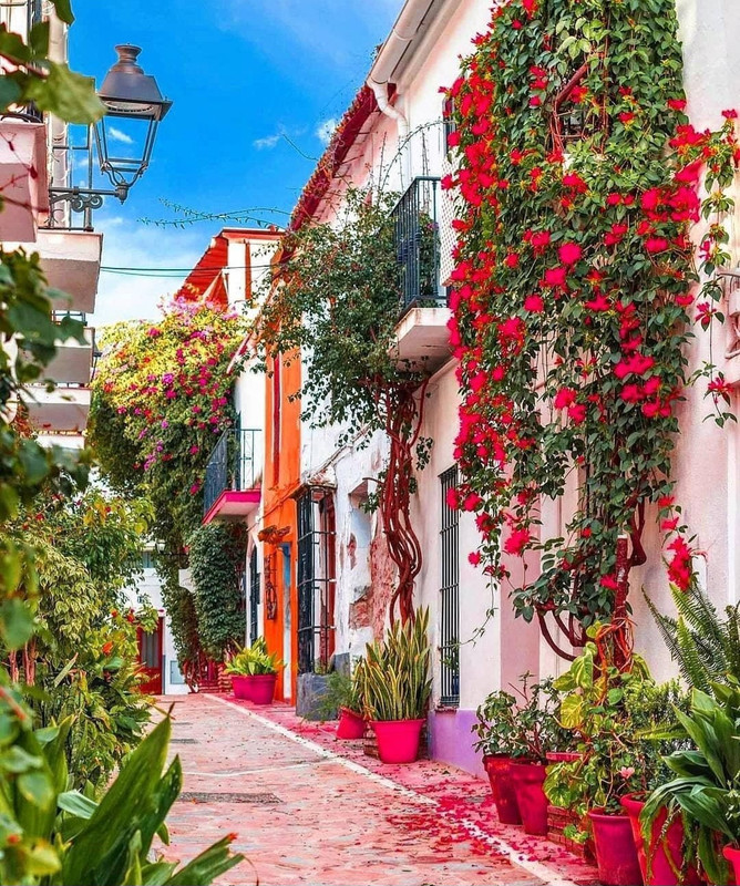 Screenshot_20240427_002802_Threads