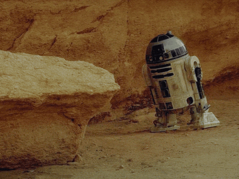 IMG-7635.gif