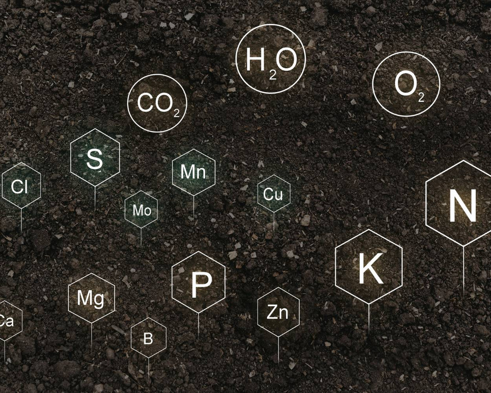 Cannabis Nutrients and Chemical Elements