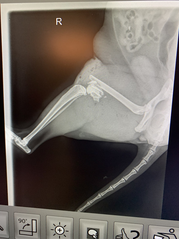 A31FEE4F-3538-4F04-964C-D7B291C56573