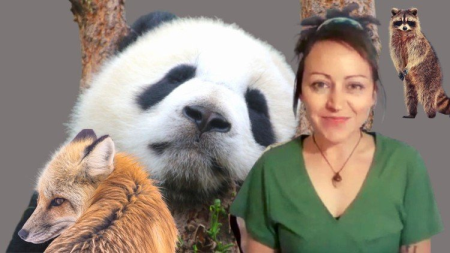 Inner Child Healing with Totem Animals