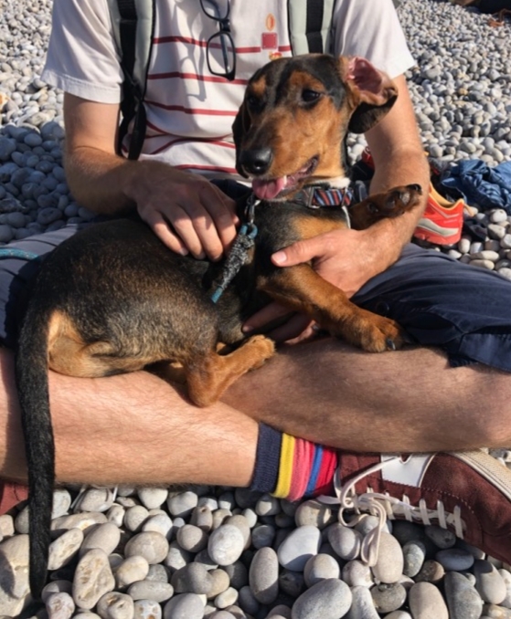 [Image: 20200727-073334.jpg]