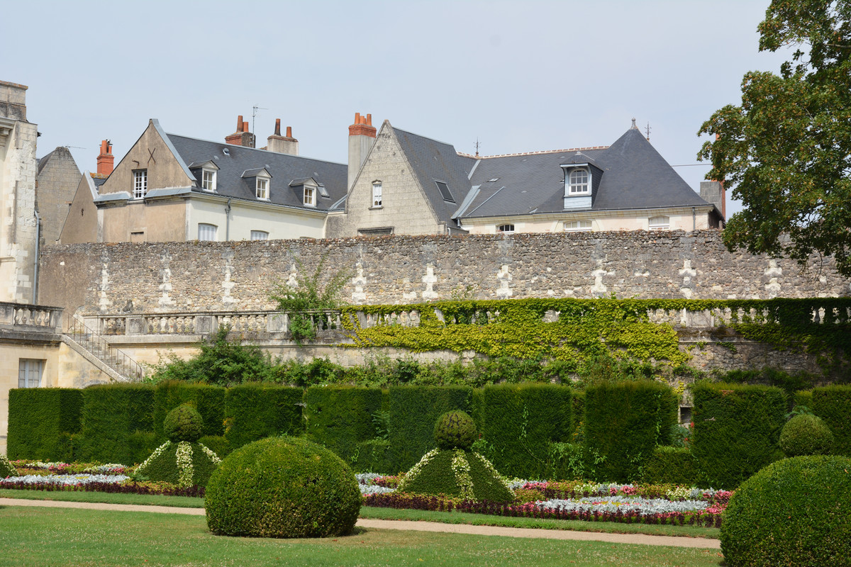 14.23 - DSC_8825 (Ater)