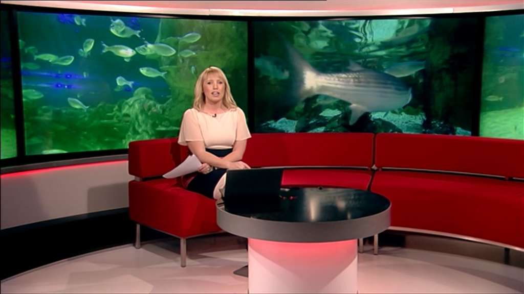 BBC London News 2022_04_11_13_30_00.ts_snapshot_11.25.748