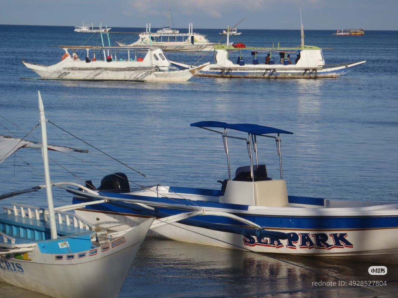 photo 14 2026 01 03 21 22 22