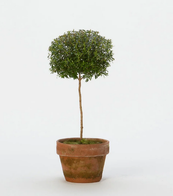 [Image: 2025-11-10-095647.png]