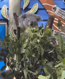 IMG-9648.gif
