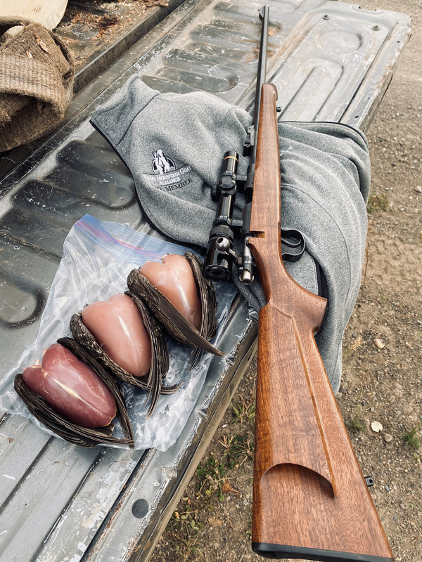 CD24B271-C06D-493D-B971-92D5F96F35E3