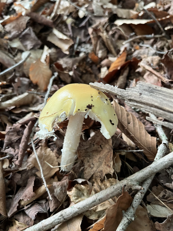 544DA7FF-6BB5-4CE4-82CD-F60B2CD1E6AC