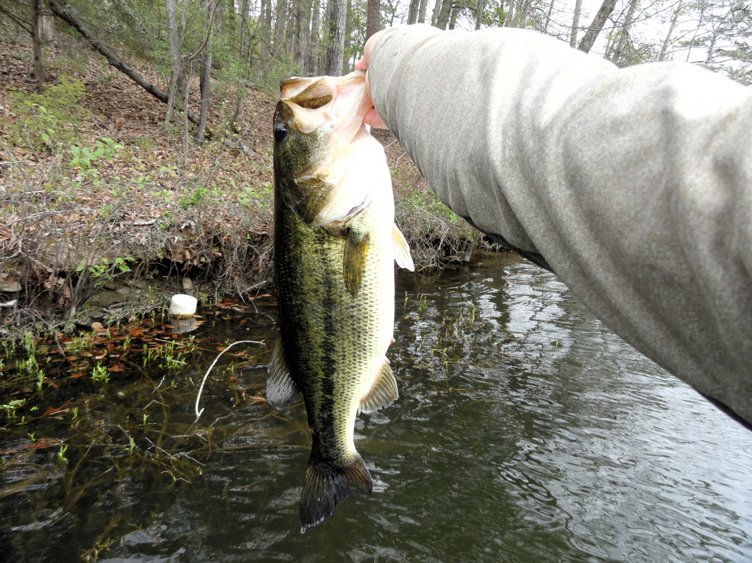 5-15-on-whacky-across-from-davis-dock.jp