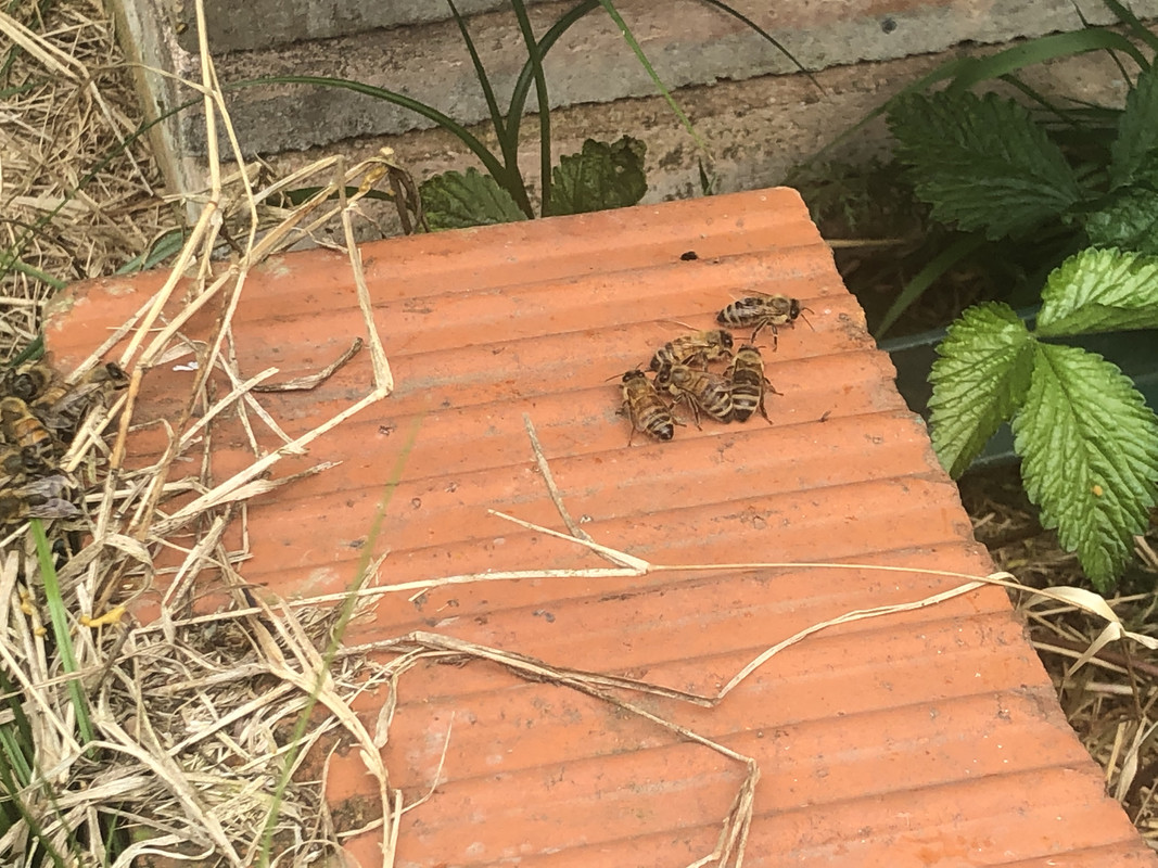 64A2BBF6-B6A0-4441-A52C-26A52E6C34D7