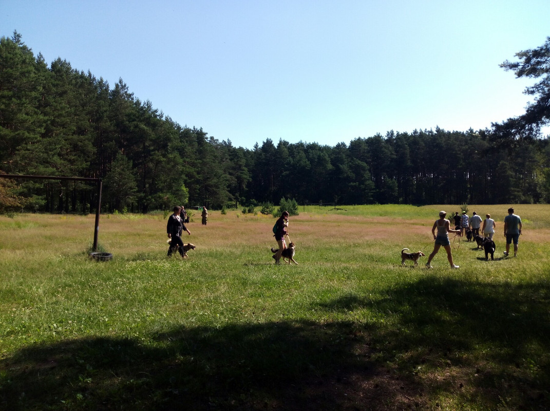 изображение_viber_2020-06-28_18-54-17