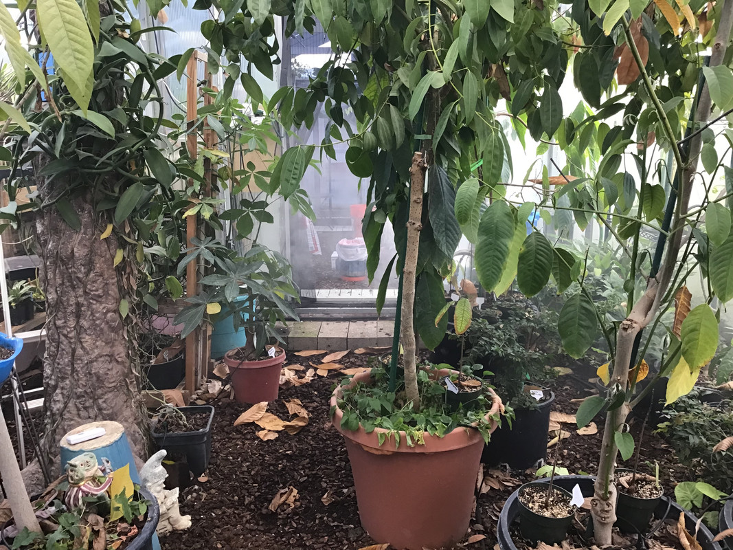 61D81607-EA2A-4F19-A8EA-EEE8106598D3