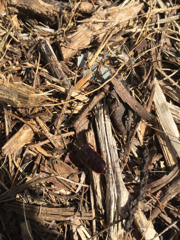 15409C3A-915A-4F48-B07B-23F439DE965B