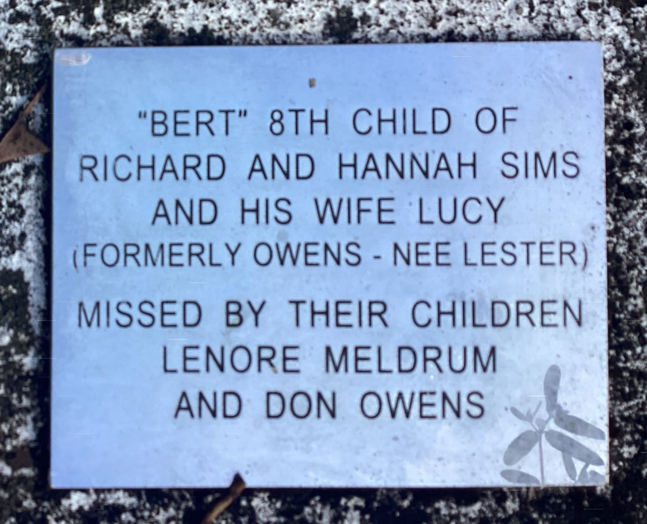 Bert Sims info 2