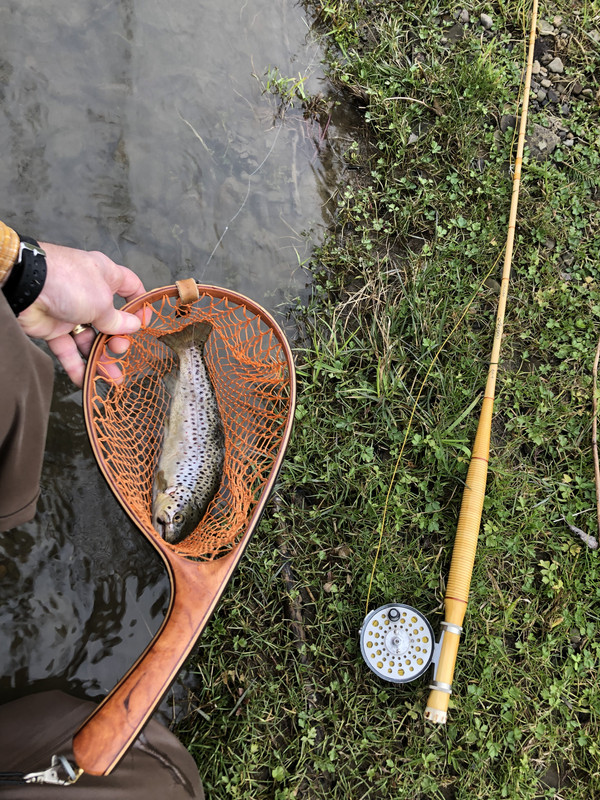 C87BE502-6779-42E1-85C2-970106431B45