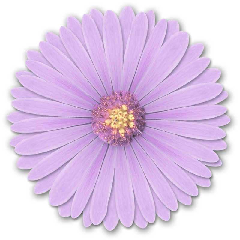 0 (51)