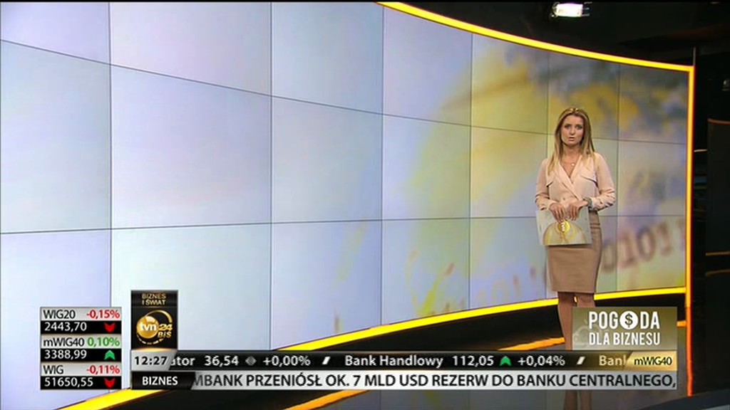 25.04.2014_annadec_tvn24bis_8