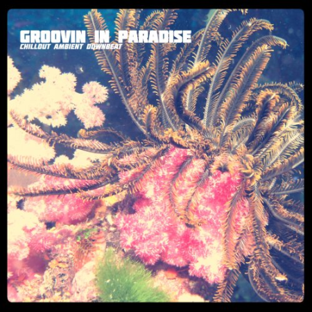 VA   Groovin in Paradise (2020)