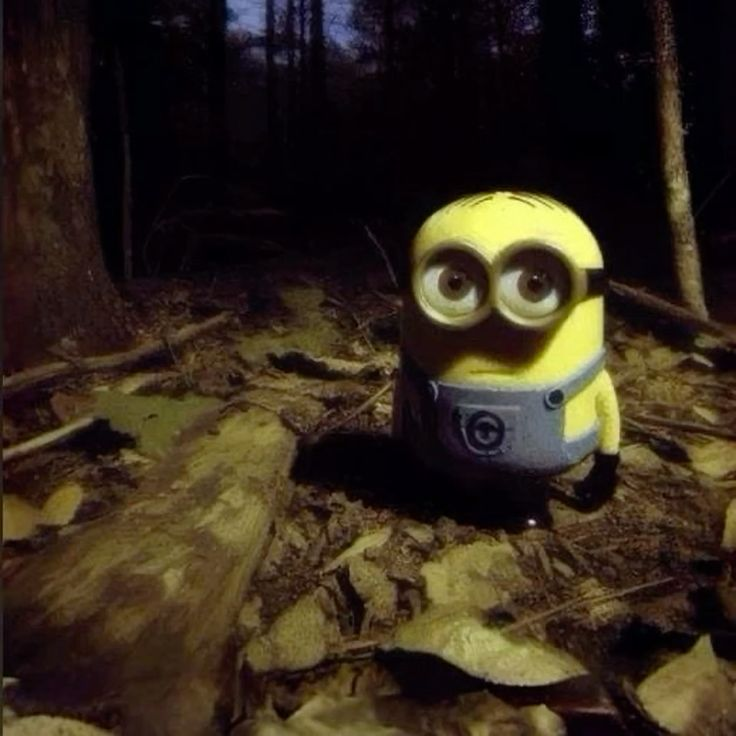 Beyoncé YA YA lyrics Musixmatch