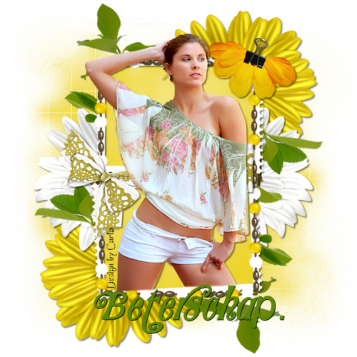 Image4-png-canary-yellow-png1.png