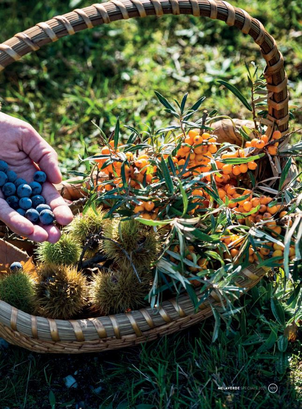 melaverde Dic 2021 (5)