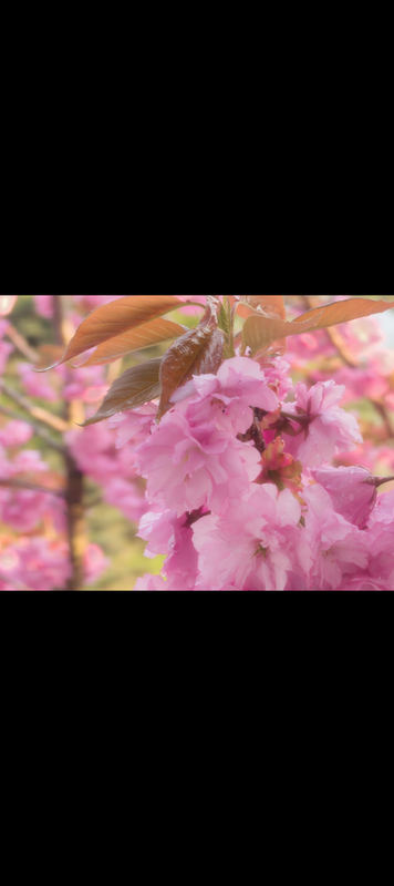 Raw file no edits