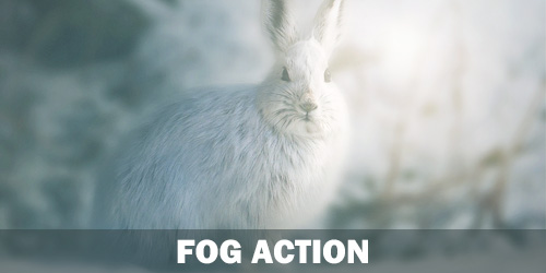 Dark Fantasy Photoshop Action - 75