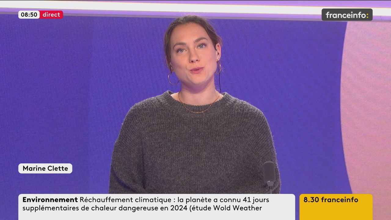 Le fil info (Franceinfo)_2024_12_28_07_45_46.ts_snapshot_06.36.647