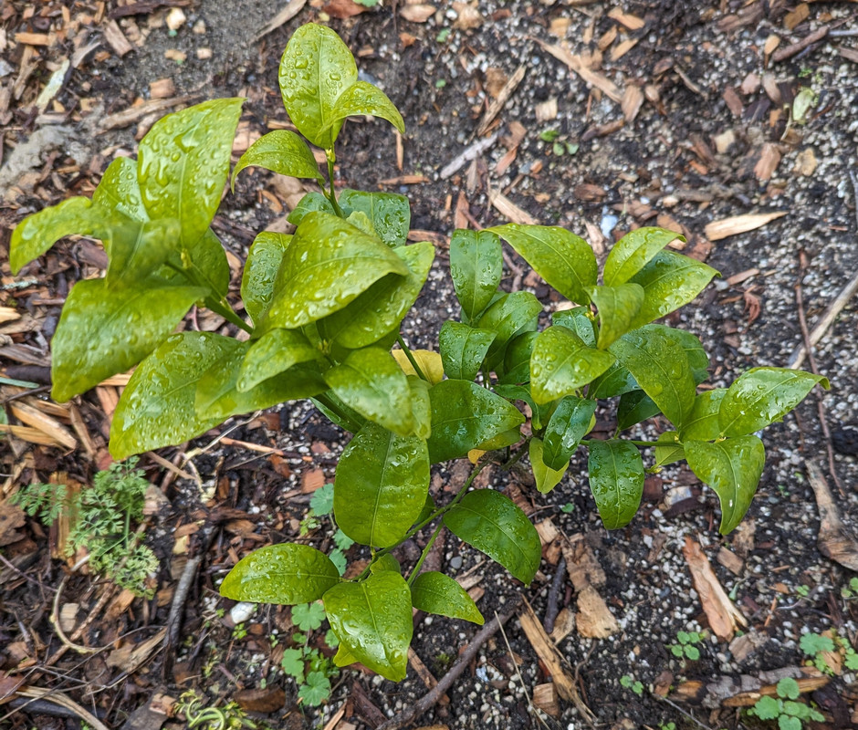 PXL_20231221_194726326