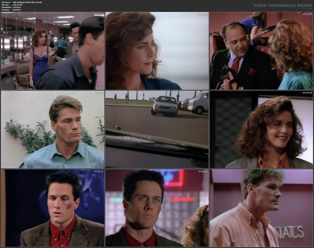 Silk Stalkings S01E10 Blo-Dri.mkv