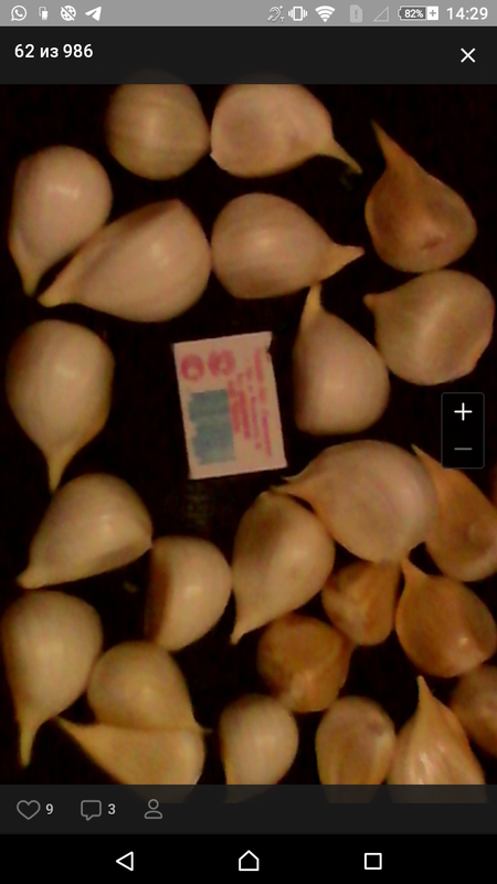 Screenshot_2020-05-05-14-29-40