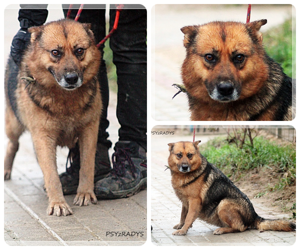 BeFunky-collage (23)