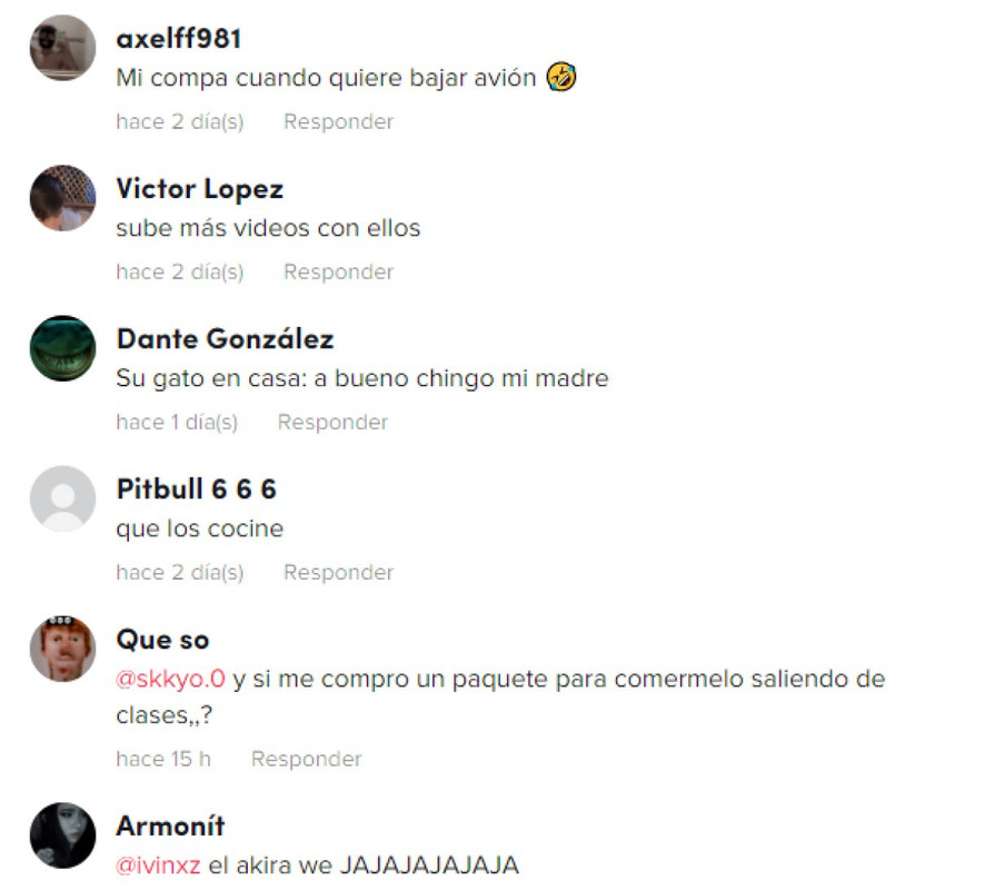 Hombre come comida para gato y el sabor sorprendió