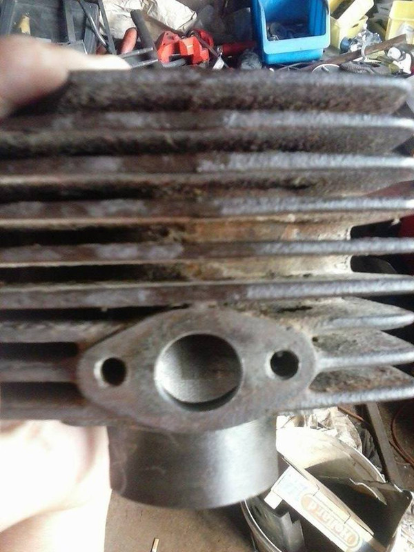 11751312_901723649886706_512956945_n