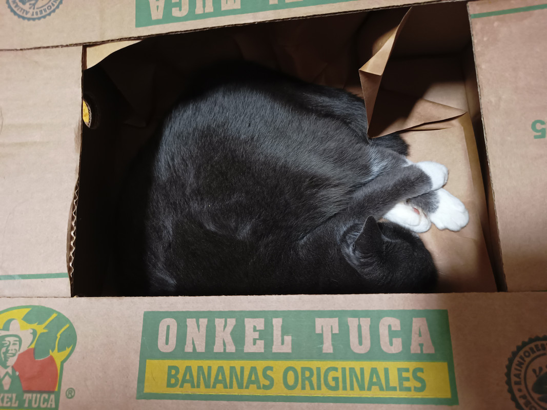 IMG_20241030_182258687