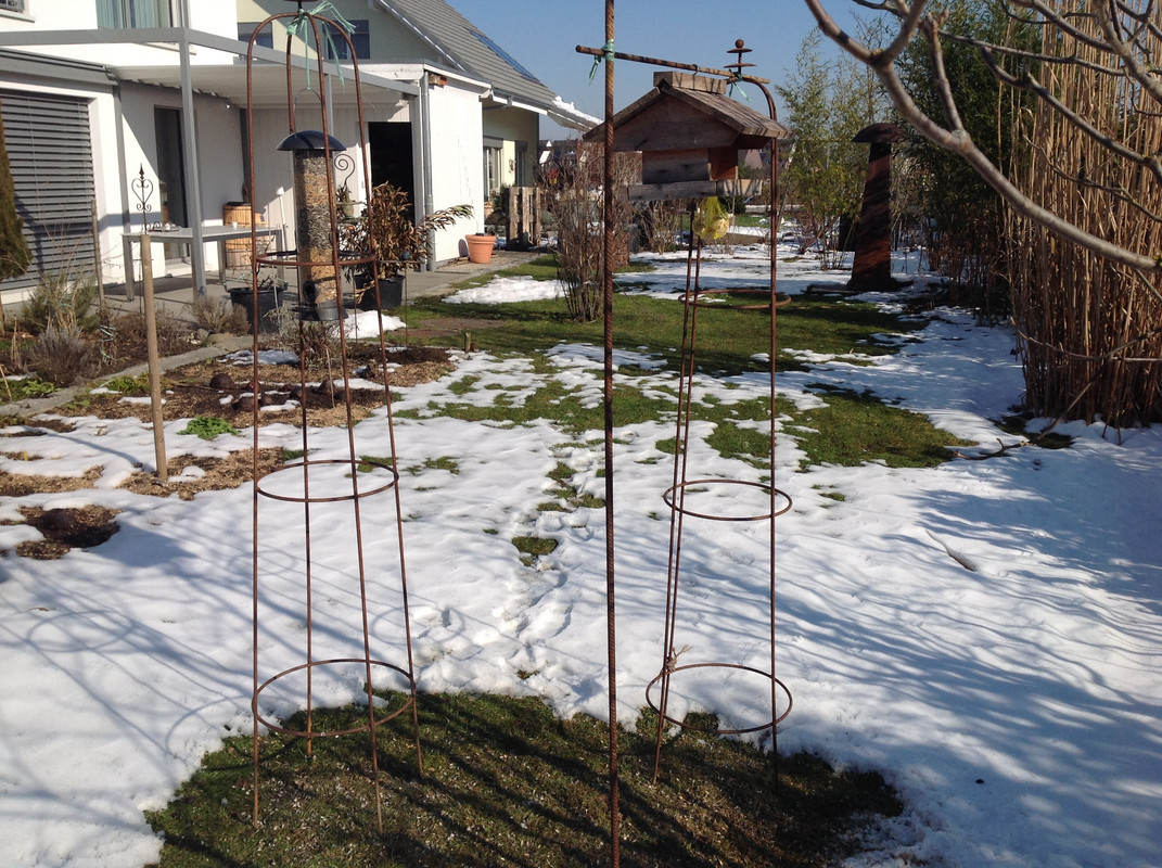 Garten Februar 12.02.2015 13 Uhr (14)