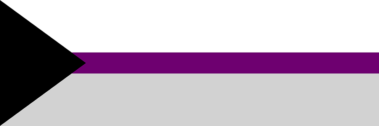 demisexual twitter header